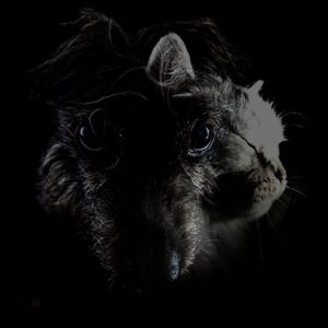 La Loom Spencer and Partners