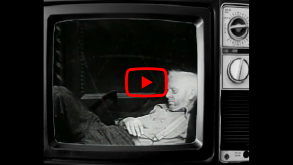 The Wooden Wolf - Amok