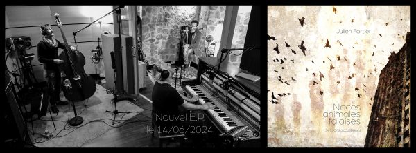 Julien Fortier - Noces Animales (Sessions acoustiques)
