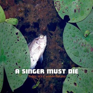 Today, it's a wonderful day.