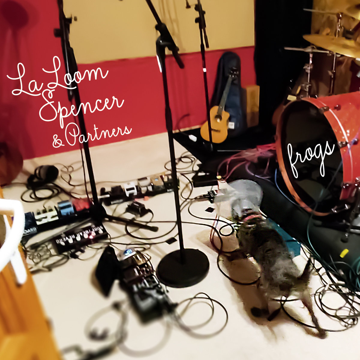 La Loom, Spencer and Partners – Frogs