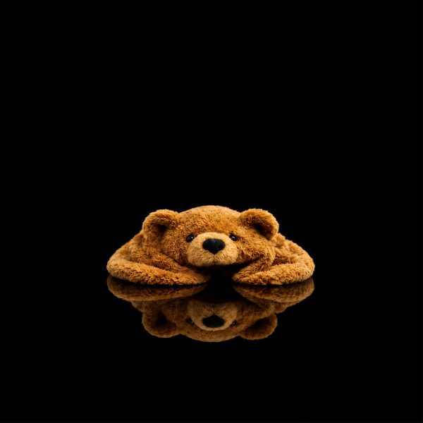 Grand Animal - Petit Ours