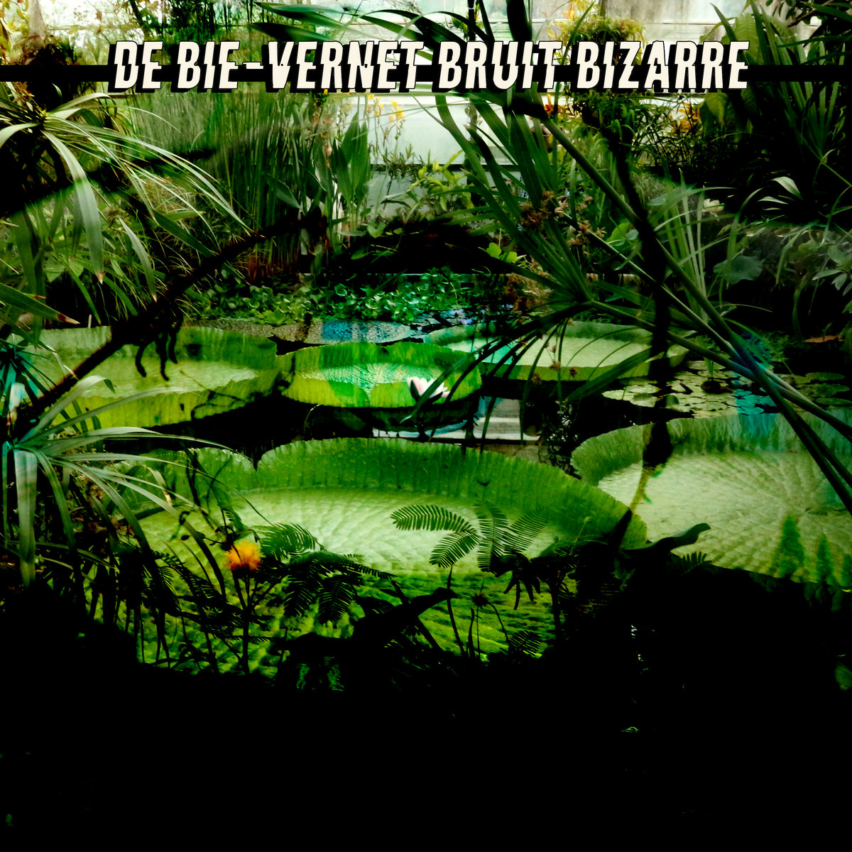 Vania De Bie-Vernet – Bruit Bizarre