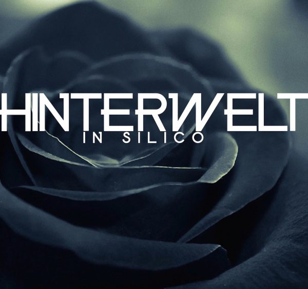 Renaud Gabriel Pion - Hinterwelt in silico