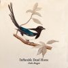 Inflatable Dead Horse - Hello Magpie