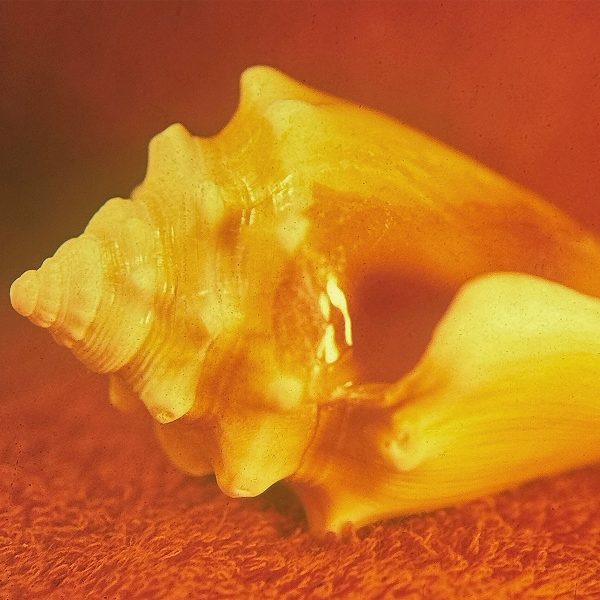 Allah-Las - Sirenas