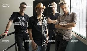 washington dead cats